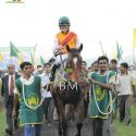 Signature Indian Derby