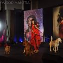 Sony Launch Serial Chhanchhal