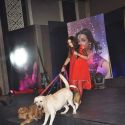 Sony Launch Serial Chhanchhal