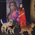 Sony Launch Serial Chhanchhal