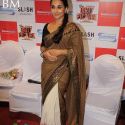 The Dirty Picture Movie DVD Launch