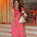 Udita Goswami weds Mohit Suri