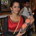 Varsha & Smruti Painting Collection Unveiled