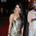 Dabangg Movie Premiere