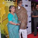 Premiere of 'English Vinglish'