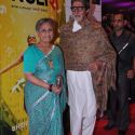 Premiere of 'English Vinglish'