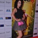 Premiere of 'English Vinglish'