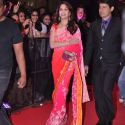 Premiere of 'English Vinglish'