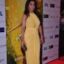 Premiere of 'English Vinglish'