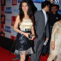 Slum Dog Millionaire Premiere