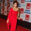 Slum Dog Millionaire Premiere