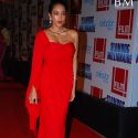 Slum Dog Millionaire Premiere