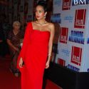 Slum Dog Millionaire Premiere