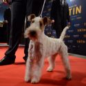 The Adventures of TINTIN The Secret of The Unicorn