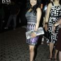We Are Family Special Movie Premiere