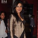 Don 2 Special Movie Screening