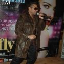 Diary of Butterfly Music Launch