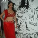 Diary of Butterfly Music Launch