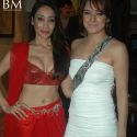 Diary of Butterfly Music Launch