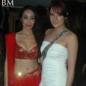 Diary of Butterfly Music Launch