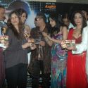 Diary of Butterfly Music Launch