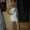 Diary of Butterfly Music Launch
