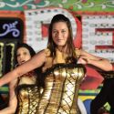 Ready Movie Audio Launch
