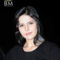 Ready Movie Audio Launch