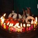 Akriti Kakar's Birthday Bash