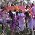 Colors Celebrate Holi 2013