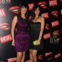 Diesel Bash