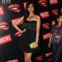 Diesel Bash