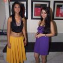 Glamorous Ashita Dhawan TV Star Bash