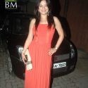 Harbhajan Singh's Birthday Party 2011