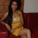 Pritam Sharma Birthday Bash