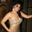 Shifanjali Shekhar Birthday Bash