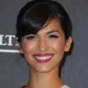 Venice International Film Festival 2012