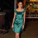 Viren Shah's Political Theme Party