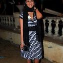 Viren Shah's Political Theme Party