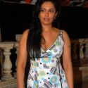 Viren Shah's Political Theme Party