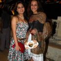 Viren Shah's Political Theme Party
