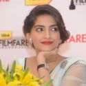 '58th !dea Filmfare Awards 2012' Press Conference