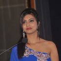 Filmfare 2012 Press Conference