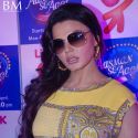 Life OK Show Press Meet