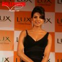 Priyanka Chopra Endorses Lux Crystals