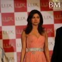 Priyanka Chopra's controversy with Sreesanth