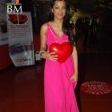 Will You Marry Me Movie Promotional Event