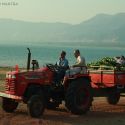 Kamaal Dhamaal Malamaal Movie Stills