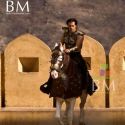 Veer Movie Stills