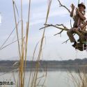 Veer Movie Stills